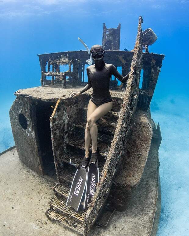 Андре Масгроув (André Musgrove) и его невероятные подводные снимки