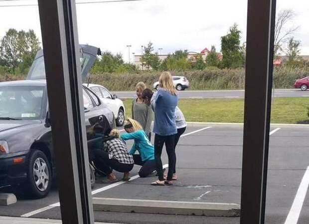 Автоприколы автоприколы, прикол, юмор