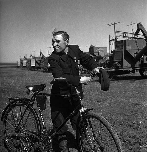 1954 год. Петропавловский зерносовхоз