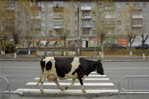 уличная фотография из реальной жизни 