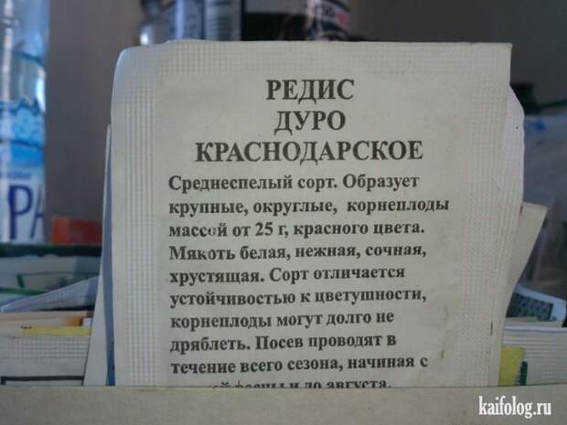 Прикольные семена (35 фото)