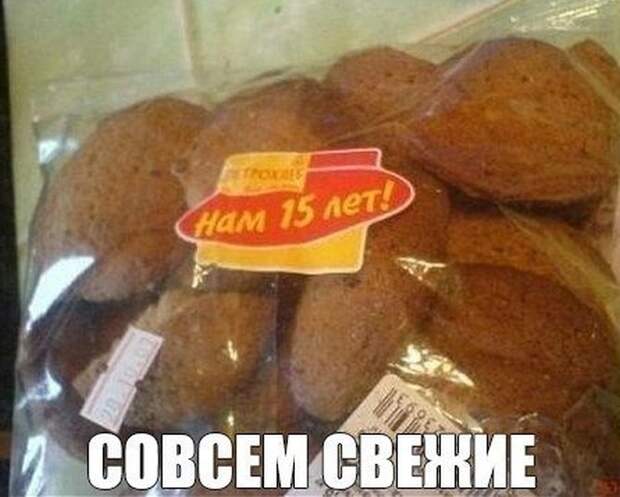 Смешные картинки с подписями катинки, прикол, юмор