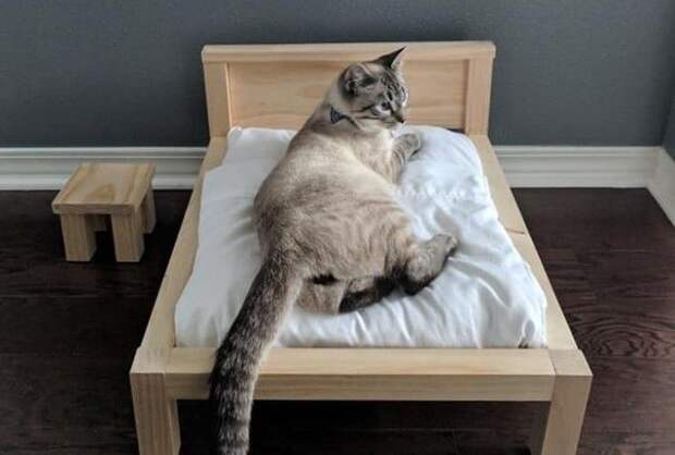 Королевская кровать для вашего котика :-)