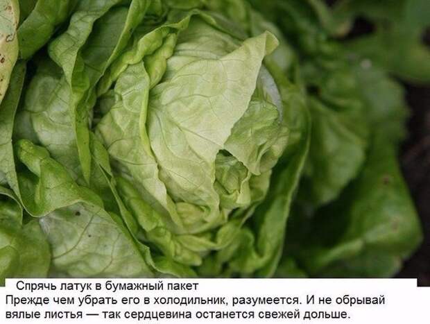 10 хитрых кухонных лайфхаков, о которых не знает даже твоя мама. 10 хитрых кухонных лайфхаков, о которых не знает даже твоя мама.