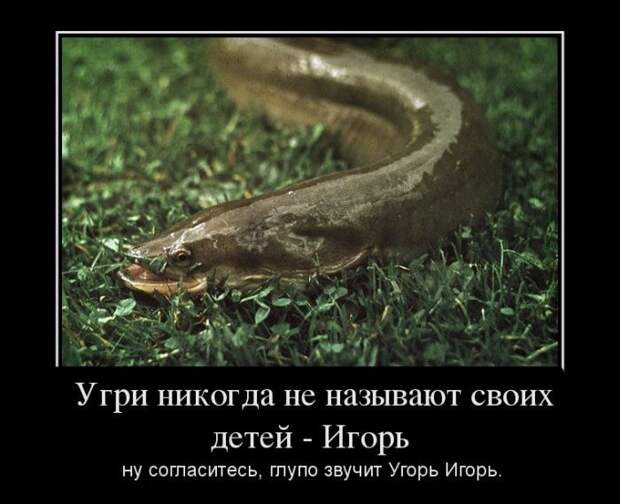 Демотиваторы (30 фото) Демотиваторы (30 фото)