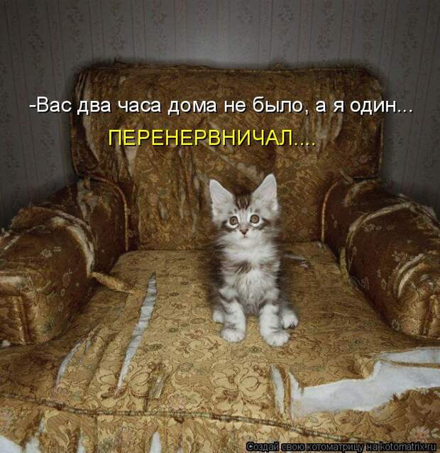 Давайте улыбаться вместе! :) (23улыбоки)