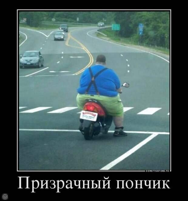 Воскресная порция философского юмора 29