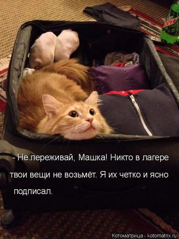Котоматрица: - Не переживай, Машка! Никто в лагере  твои вещи не возьмёт. Я их четко и ясно подписал.