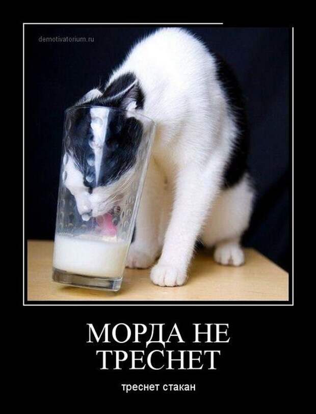 1395856319_demotivatory_05_1 (533x700, 42Kb)