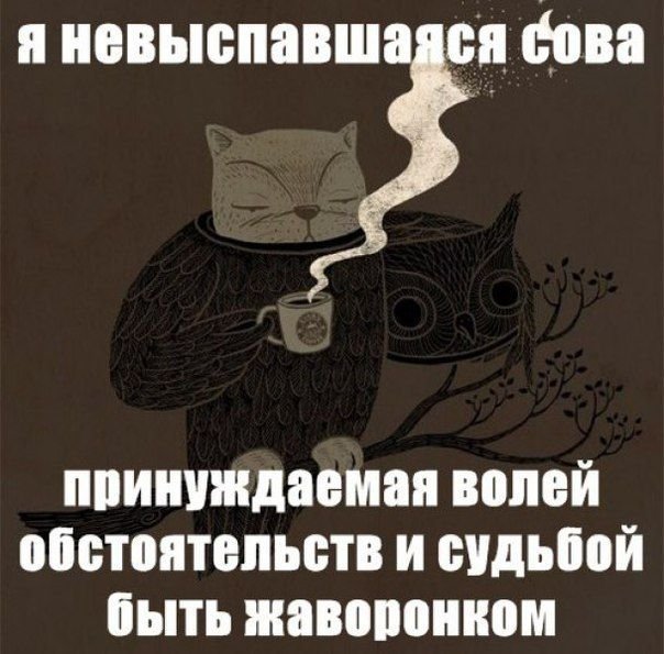 Прикольные картинки