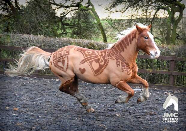Великолепнее совершенных: лошади в орнаментах животные, лошадь
