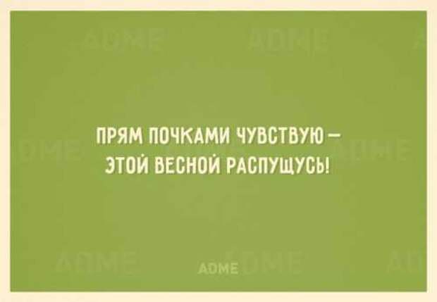 Отличные юморные Аткрытки к весне (21 фото) Отличные юморные Аткрытки к весне (21 фото)