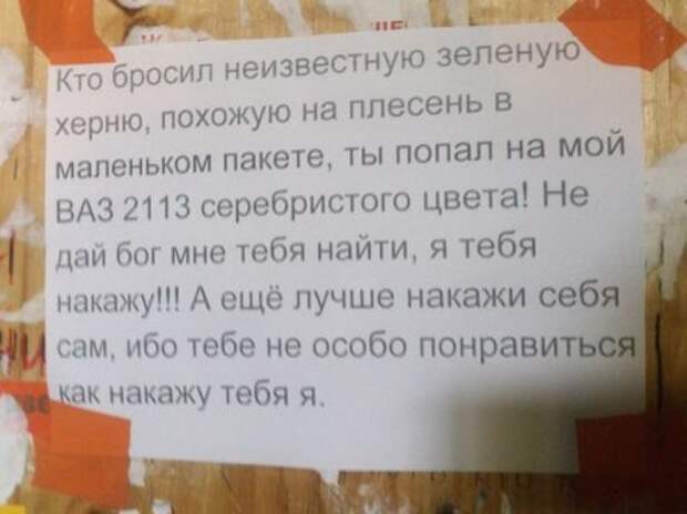 Картинки прикольные и настроение будет хорошим.