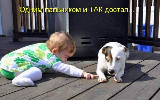 Давайте улыбаться вместе! :) №241014