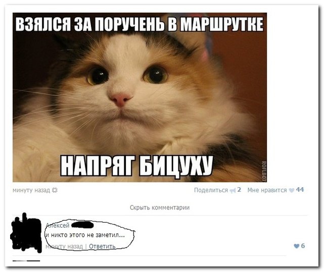 Смешные комментарии из социальных сетей комментарии, прикол