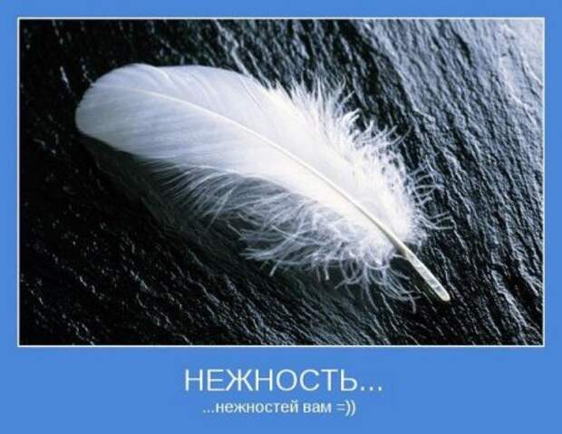 Картинки серьезные темы мотиваторы.