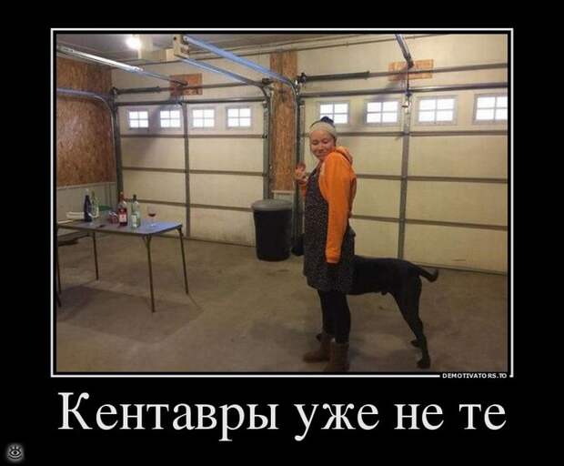 Покой нам только снится! 7