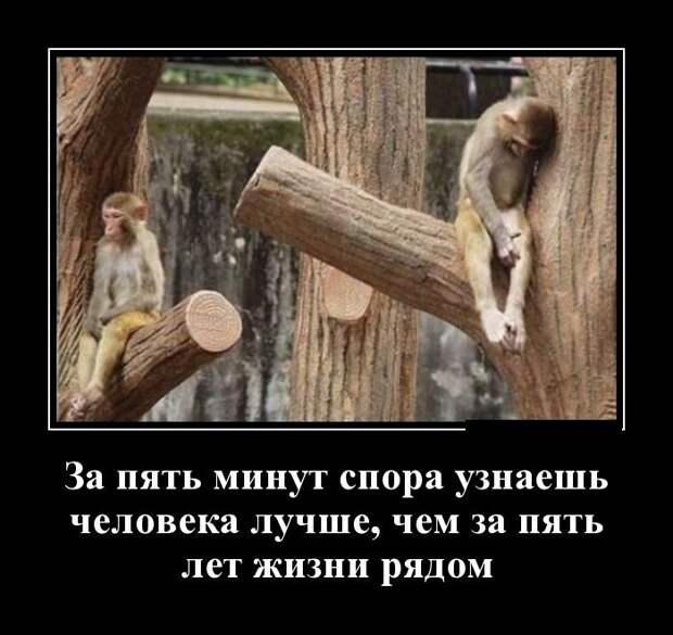Демотиваторы (30 фото)