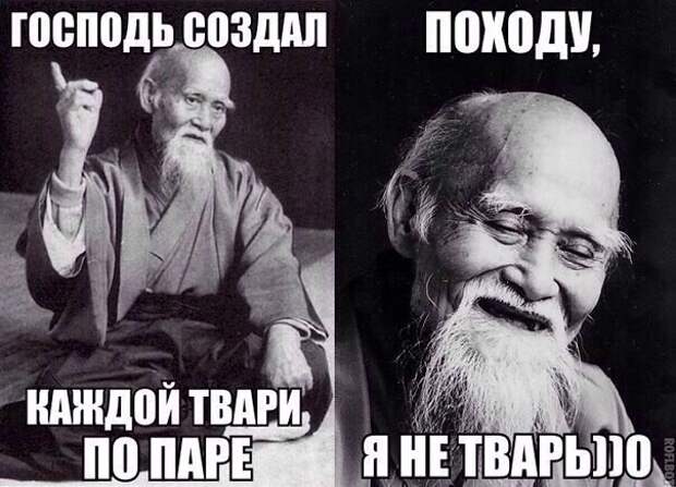 Смешные картинки с надписями прикол, юмор