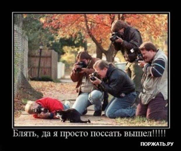 Демотиваторы, не много, но все прикольные!