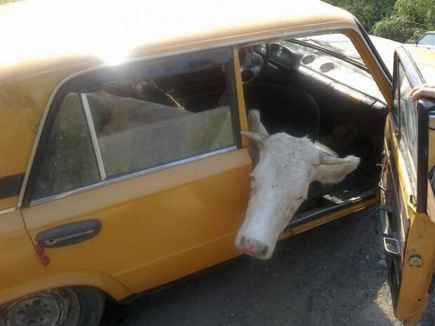 автомобиль