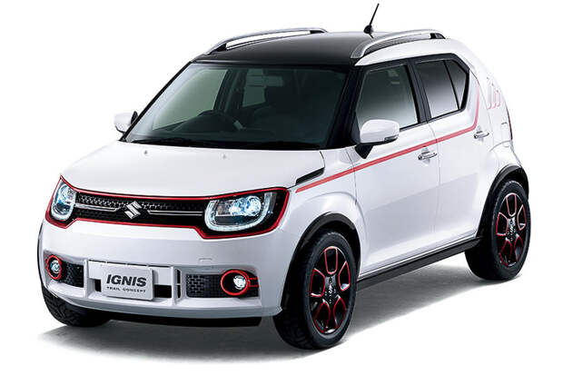 suzuki (9).jpg