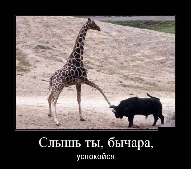 Демотиваторы (30 фото)