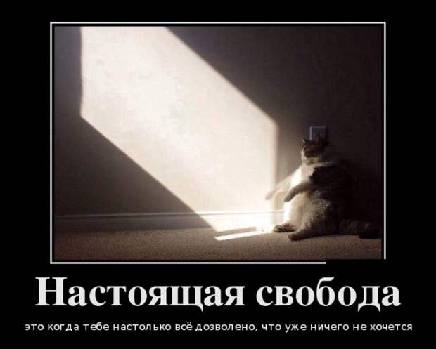 Демотиваторы (30 фото)