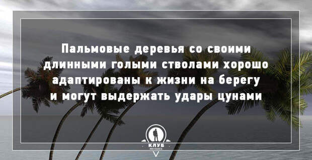 9 интересных фактов о мире в мире, факты