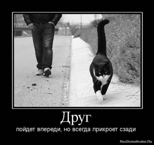 Демотиваторы о дружбе.