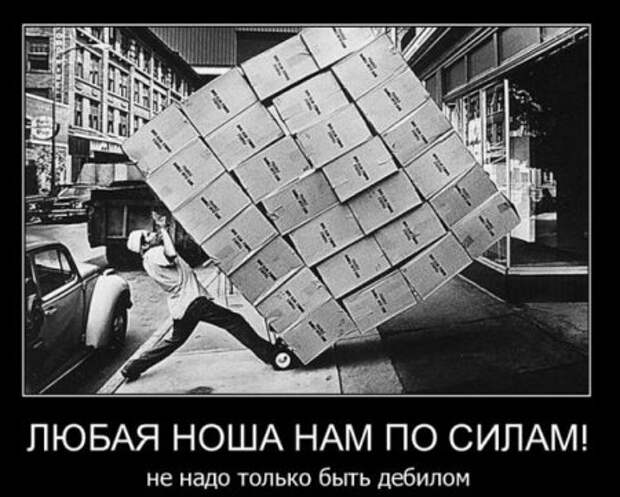 Смешные демотиваторы, веселые картинки с надписями!