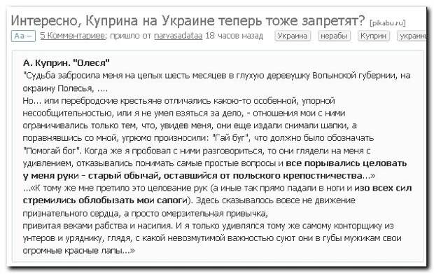 kRhIi6Qv.jpg