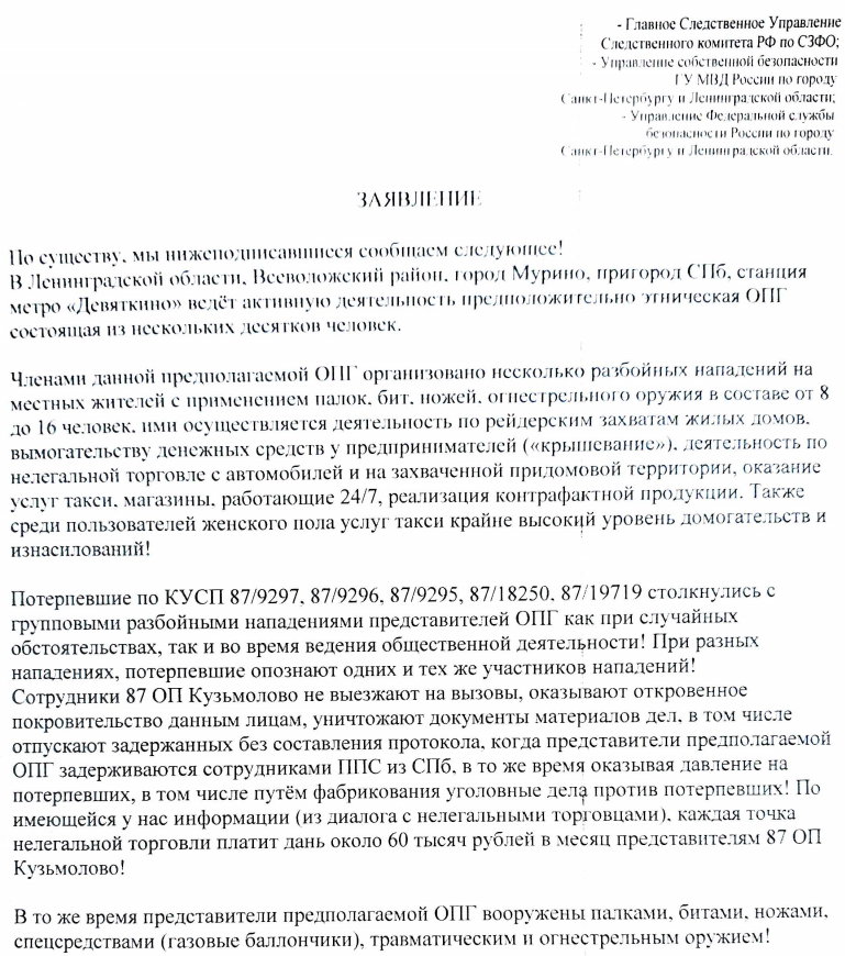 "Полиция нам нипочём": В пригороде Петербурга этническая группировка терроризирует местных жителей