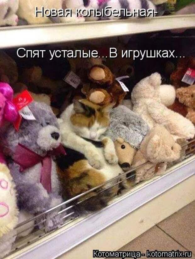 Лучшая котоматрица на Бугаге (29 шт)