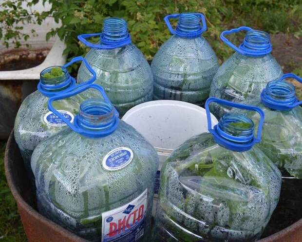 Фокус – в бутылке. Фокус – в бутылке.