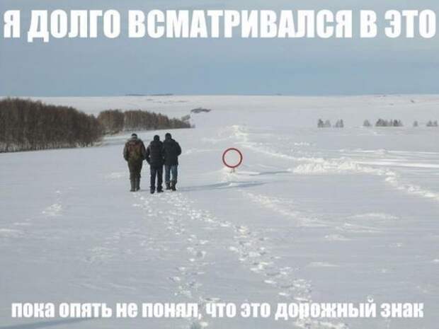 смешные фото, прикол, юмор, смешные картинки 