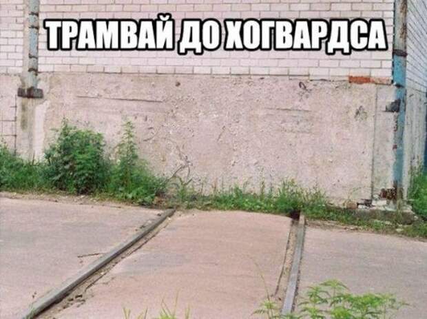 АВТОприколы на Бугаге (21 фото)