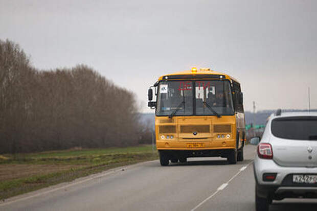 Зачем они там ходят? В администрации Сочи ответили, что гнилой подвесной мост, по которому дети идут в школу, построили сами жители