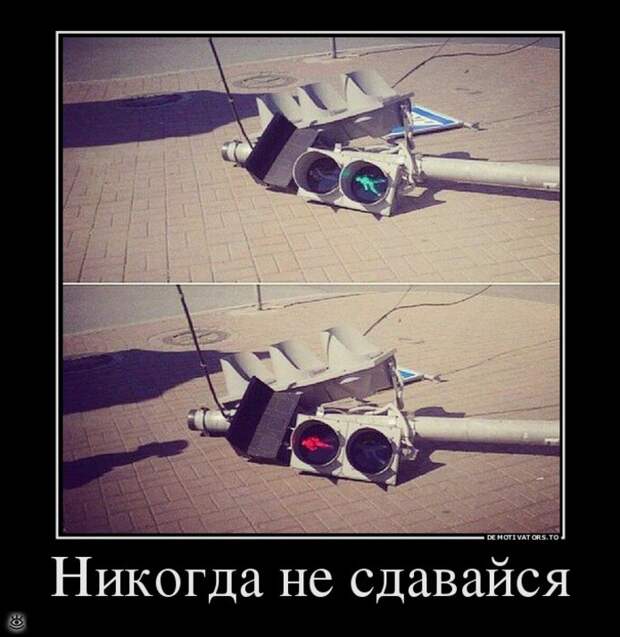 А ты знаешь, что делать со своей жизнью? 10