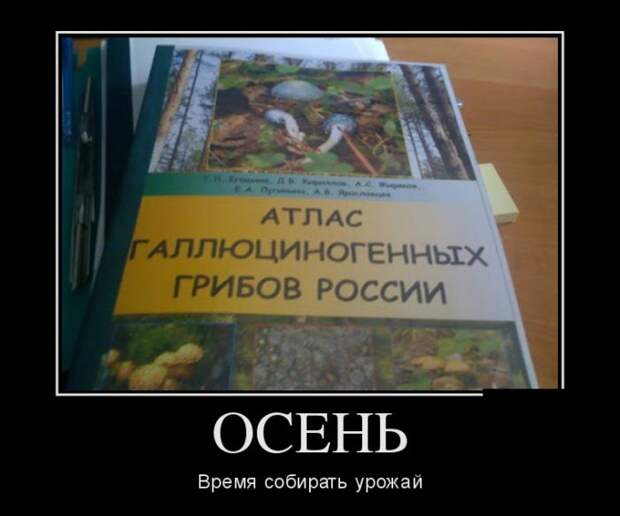 Демотиваторы