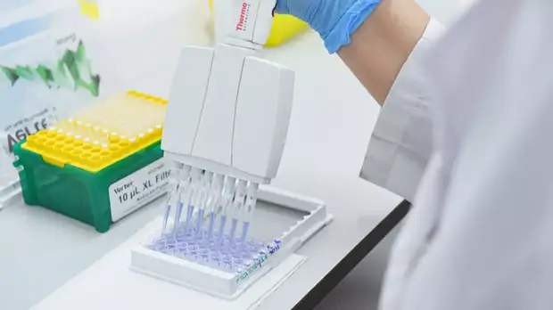 Партия вакцины «Спутник V» от COVID-19 поступит в Сербию для исследований