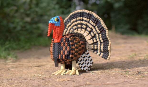 том пулсом скульптуры птиц из конструктора LEGO (8)
