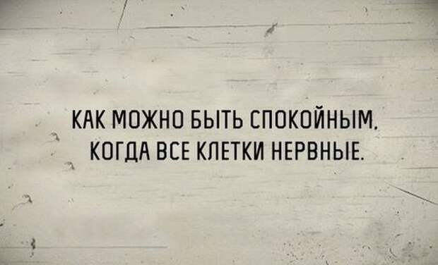 В точку! Только отборные цитаты