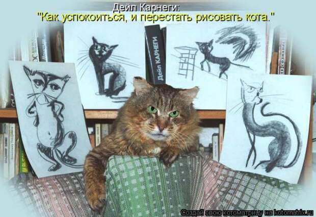 Лучшие котоматрицы недели (50 фото)