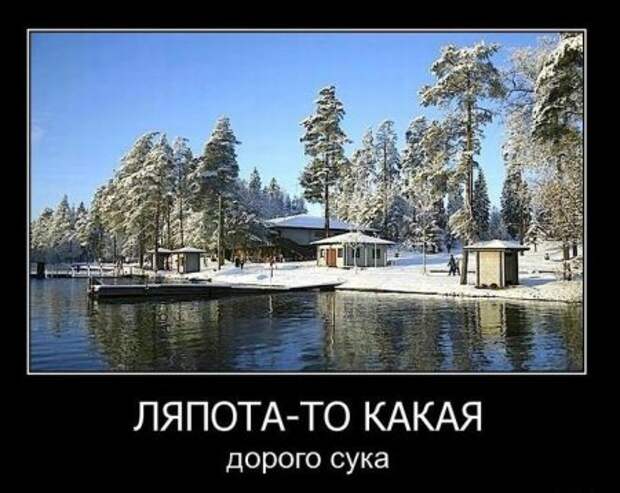 Новые смешные демотиваторы.