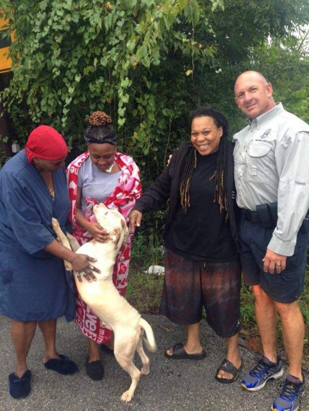 Спасатели пришли на помощь тонущей собаке и стали свидетелями самой необычной дружбы животных