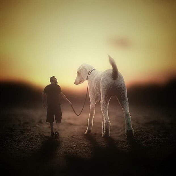 Christopher Cline и его гигантская собака