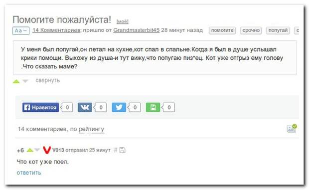 Смешные комментарии из социальных сетей 15.06.15 комментарии, прикол, соцсети, юмор