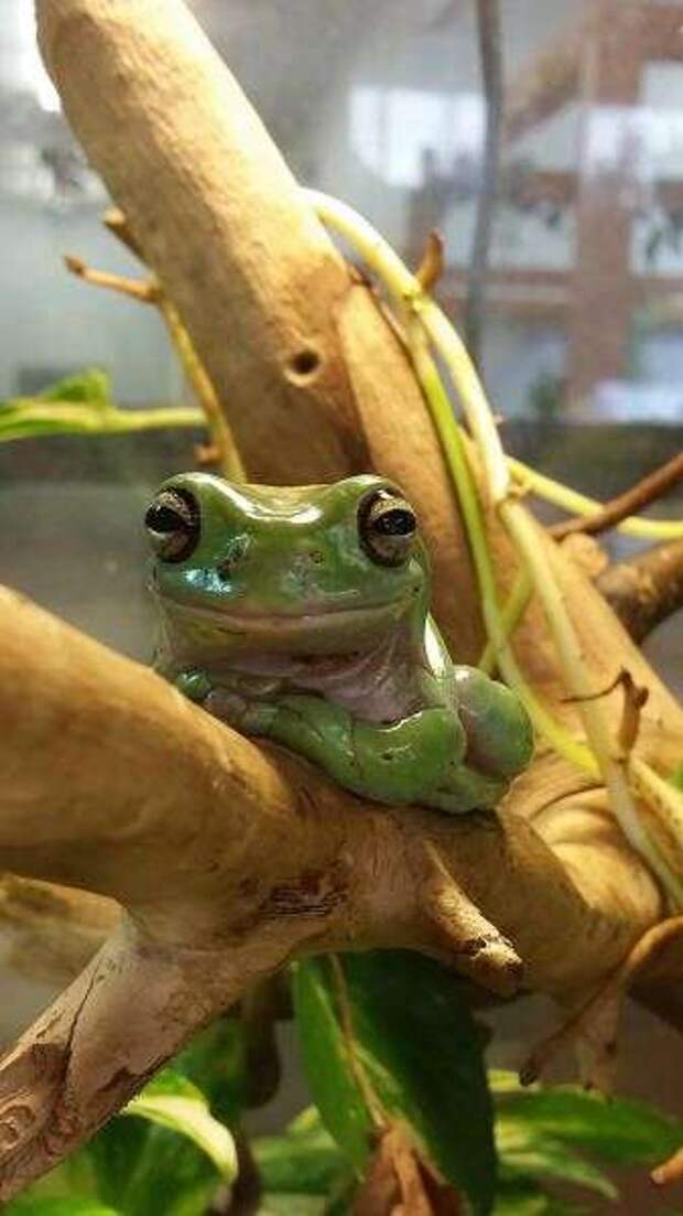 Пятничные фотоприколы