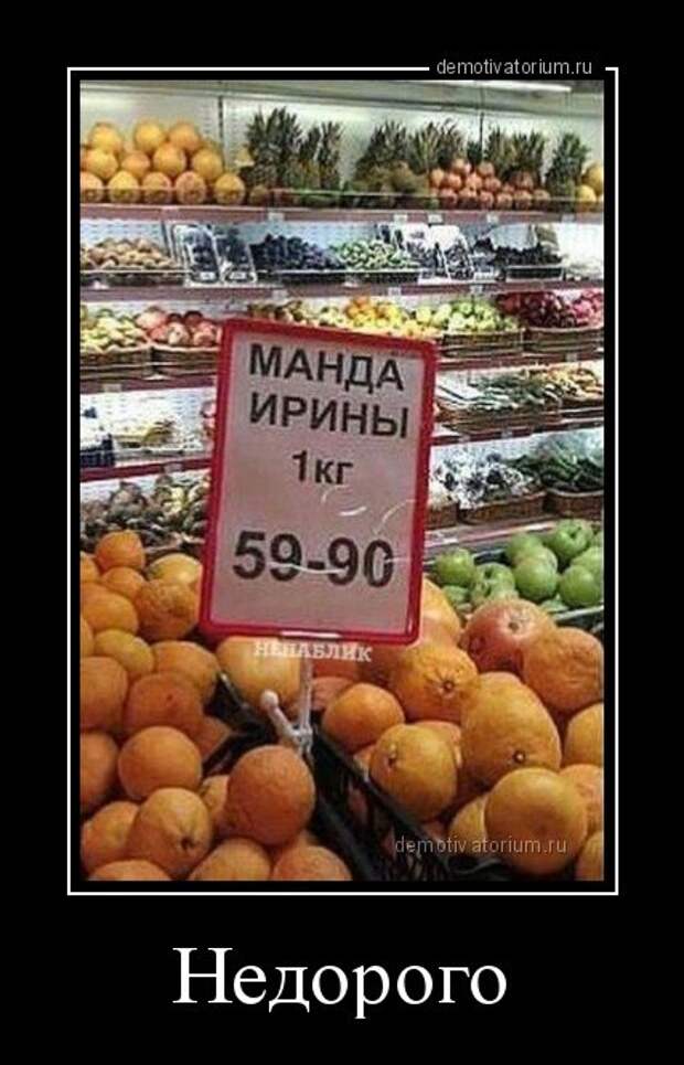 Демотиваторы-новинки (13 шт)